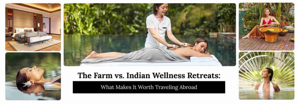 The Farm vs. Indian Wellness Retreats