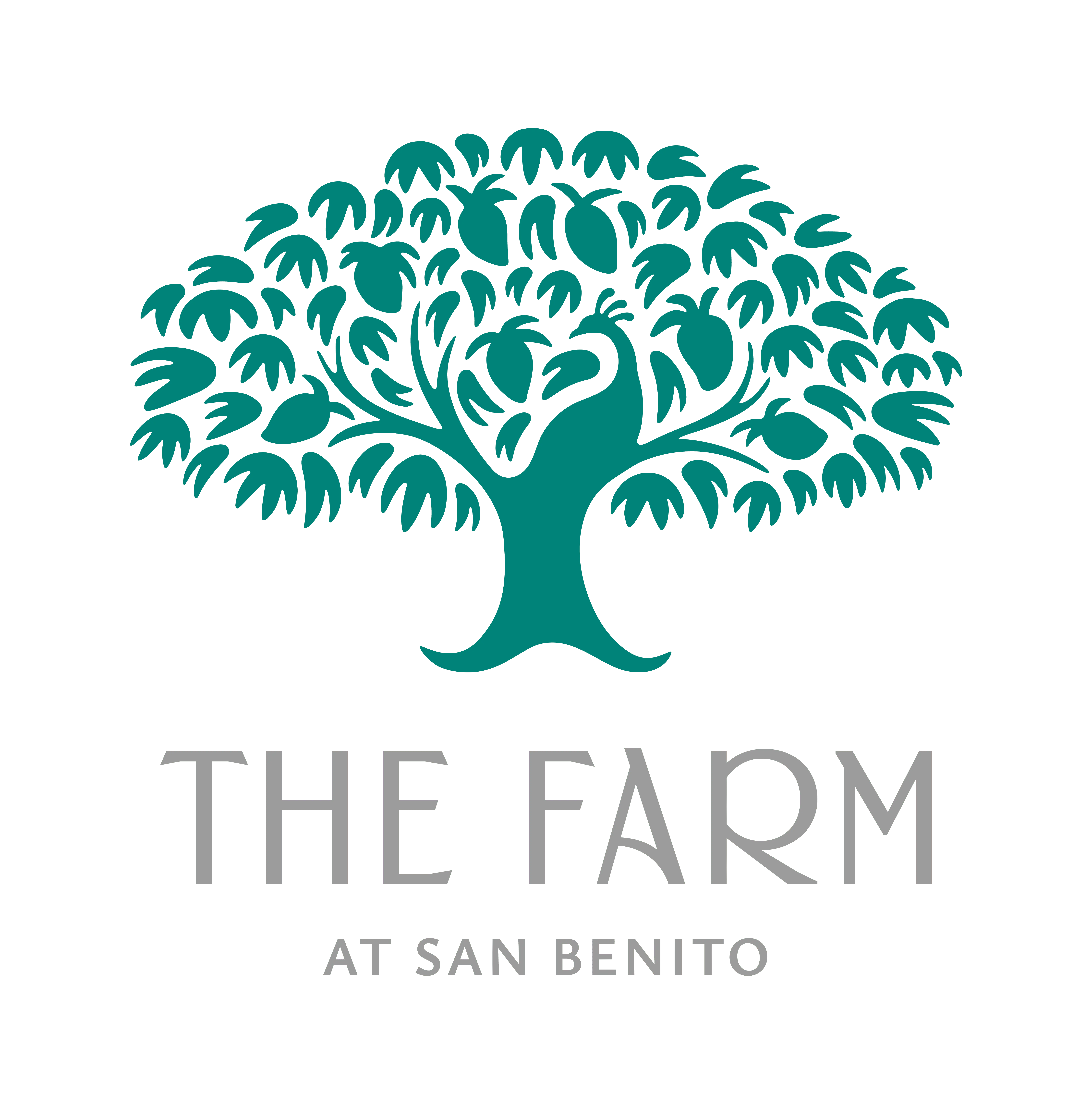 Holistic Wellness Resort | The Farm at San Benito