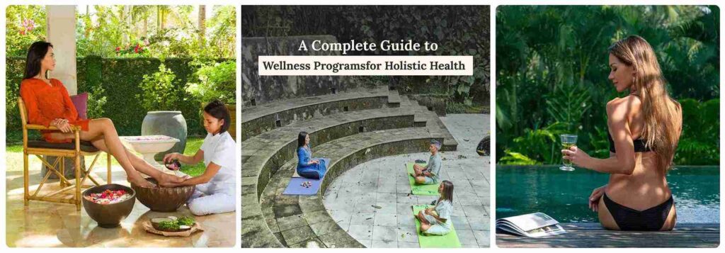 Guide to Wellness Programs for Holistic Health
