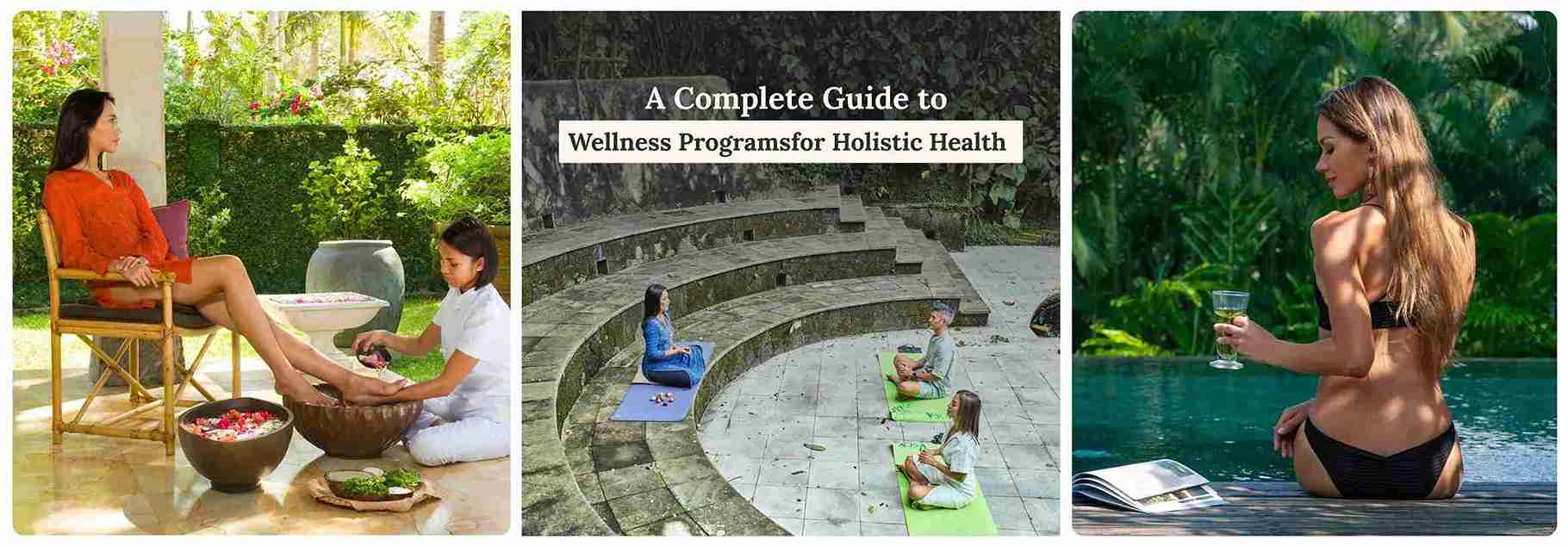 A Complete Guide to Wellness Programs for Holistic Health